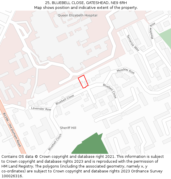25, BLUEBELL CLOSE, GATESHEAD, NE9 6RH: Location map and indicative extent of plot