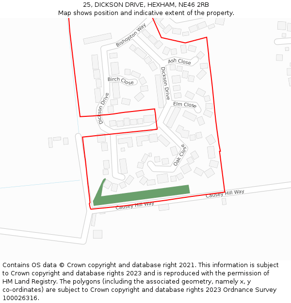 25, DICKSON DRIVE, HEXHAM, NE46 2RB: Location map and indicative extent of plot