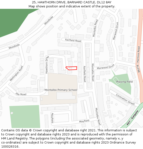 25, HAWTHORN DRIVE, BARNARD CASTLE, DL12 8AY: Location map and indicative extent of plot