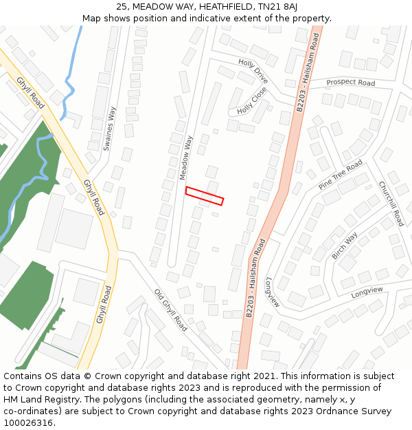 25, MEADOW WAY, HEATHFIELD, TN21 8AJ: Location map and indicative extent of plot