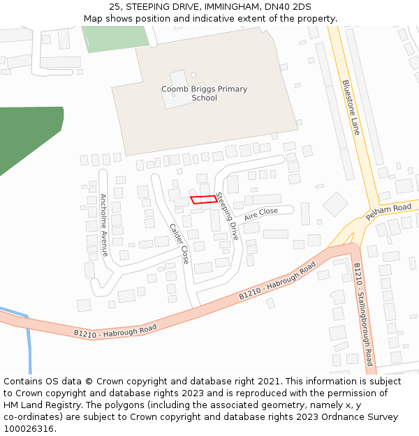 25, STEEPING DRIVE, IMMINGHAM, DN40 2DS: Location map and indicative extent of plot