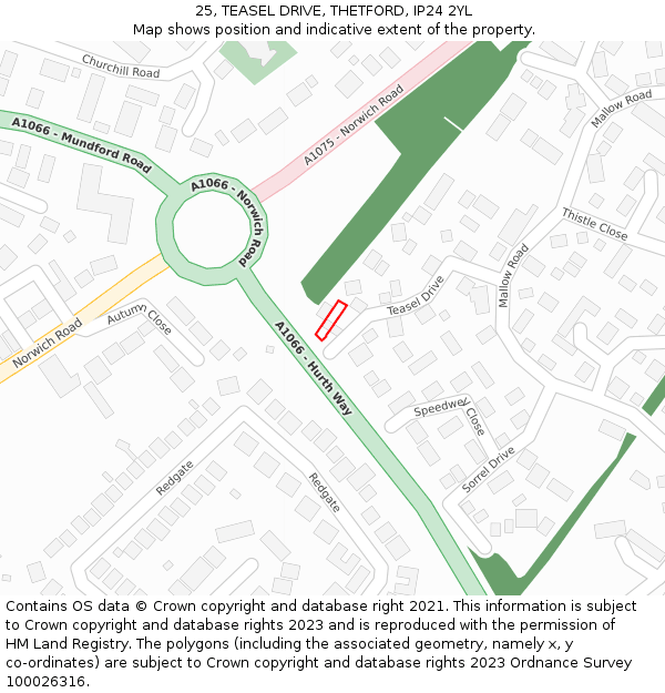 25, TEASEL DRIVE, THETFORD, IP24 2YL: Location map and indicative extent of plot