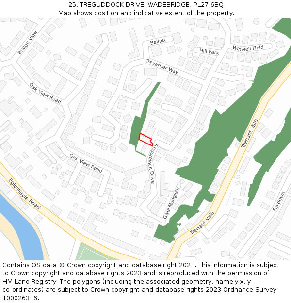 25, TREGUDDOCK DRIVE, WADEBRIDGE, PL27 6BQ: Location map and indicative extent of plot