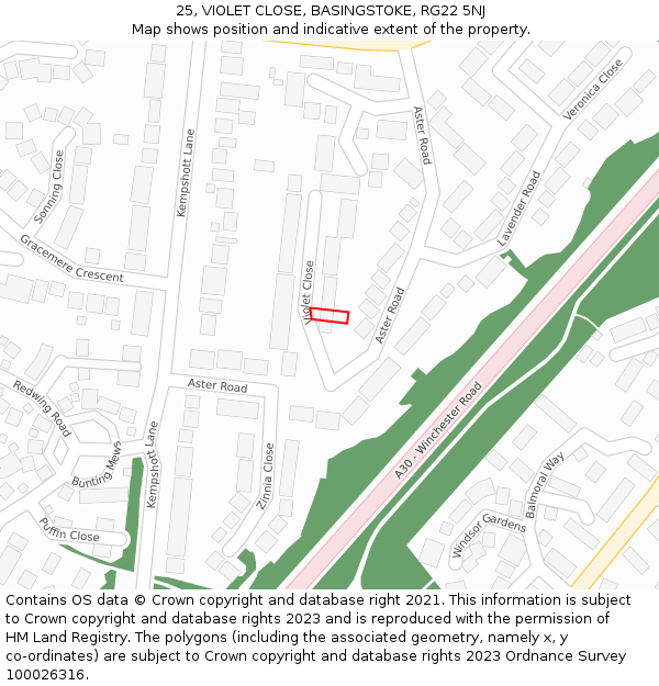 25, VIOLET CLOSE, BASINGSTOKE, RG22 5NJ: Location map and indicative extent of plot