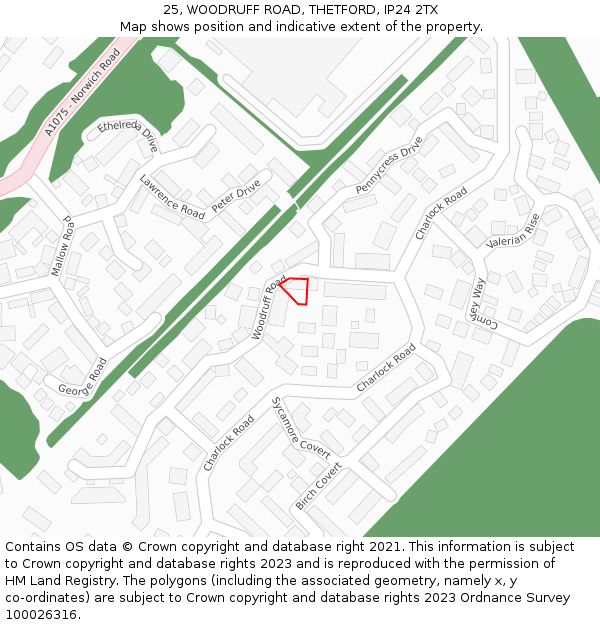 25, WOODRUFF ROAD, THETFORD, IP24 2TX: Location map and indicative extent of plot