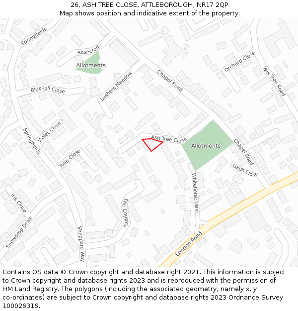 26, ASH TREE CLOSE, ATTLEBOROUGH, NR17 2QP: Location map and indicative extent of plot