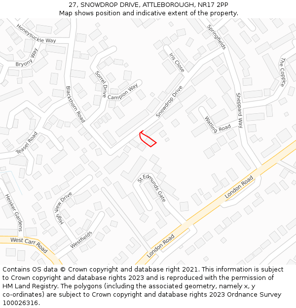 27, SNOWDROP DRIVE, ATTLEBOROUGH, NR17 2PP: Location map and indicative extent of plot