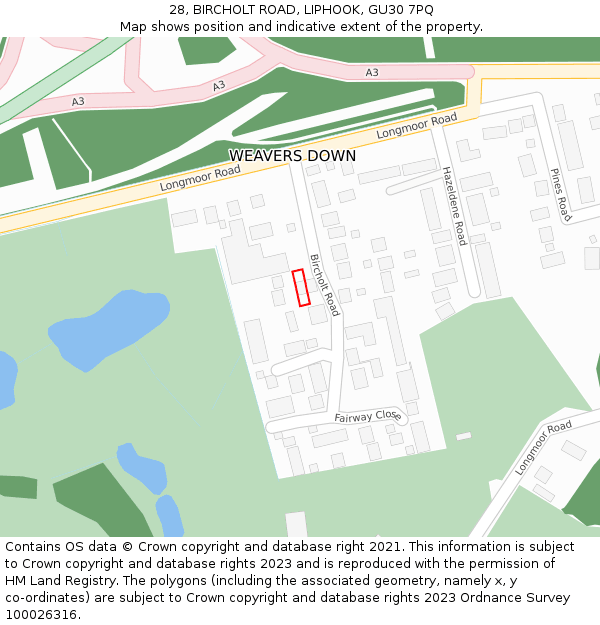 28, BIRCHOLT ROAD, LIPHOOK, GU30 7PQ: Location map and indicative extent of plot