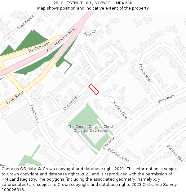 28, CHESTNUT HILL, NORWICH, NR4 6NL: Location map and indicative extent of plot