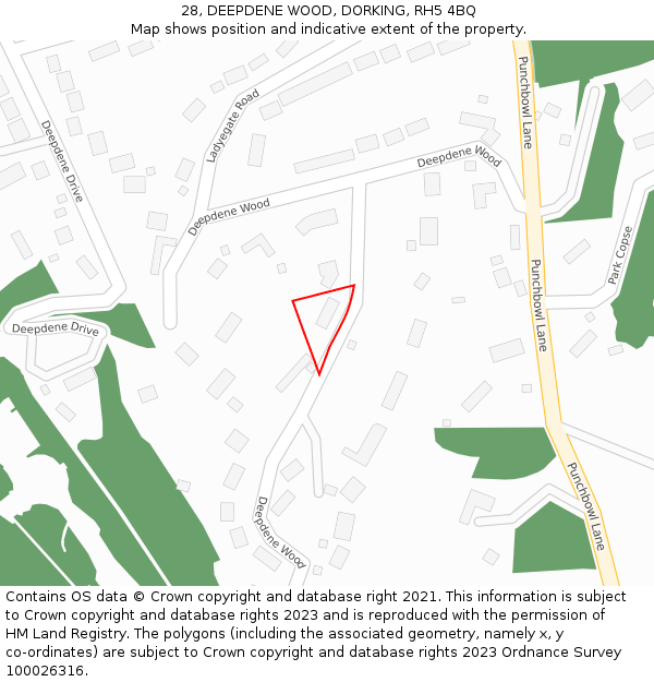 28, DEEPDENE WOOD, DORKING, RH5 4BQ: Location map and indicative extent of plot