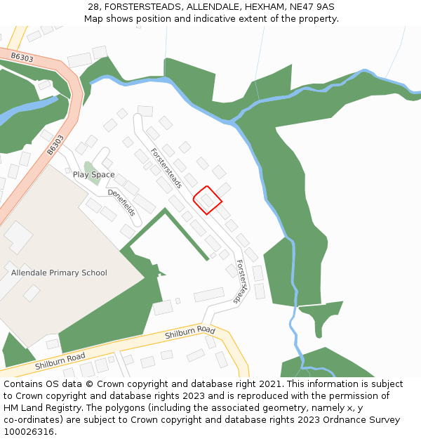 28, FORSTERSTEADS, ALLENDALE, HEXHAM, NE47 9AS: Location map and indicative extent of plot