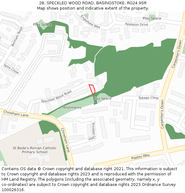 28, SPECKLED WOOD ROAD, BASINGSTOKE, RG24 9SR: Location map and indicative extent of plot