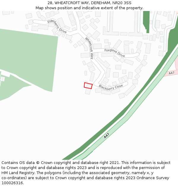 28, WHEATCROFT WAY, DEREHAM, NR20 3SS: Location map and indicative extent of plot