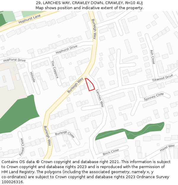 29, LARCHES WAY, CRAWLEY DOWN, CRAWLEY, RH10 4UJ: Location map and indicative extent of plot