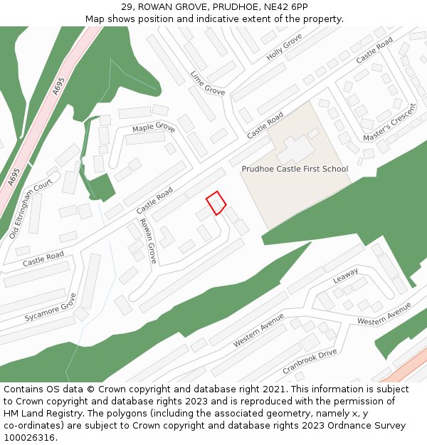 29, ROWAN GROVE, PRUDHOE, NE42 6PP: Location map and indicative extent of plot