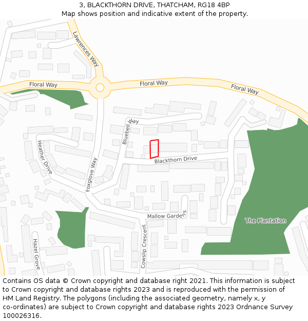 3, BLACKTHORN DRIVE, THATCHAM, RG18 4BP: Location map and indicative extent of plot