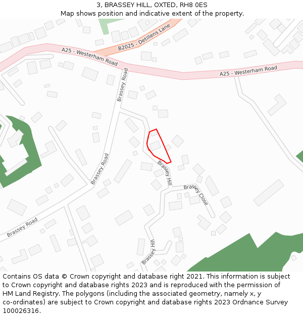 3, BRASSEY HILL, OXTED, RH8 0ES: Location map and indicative extent of plot