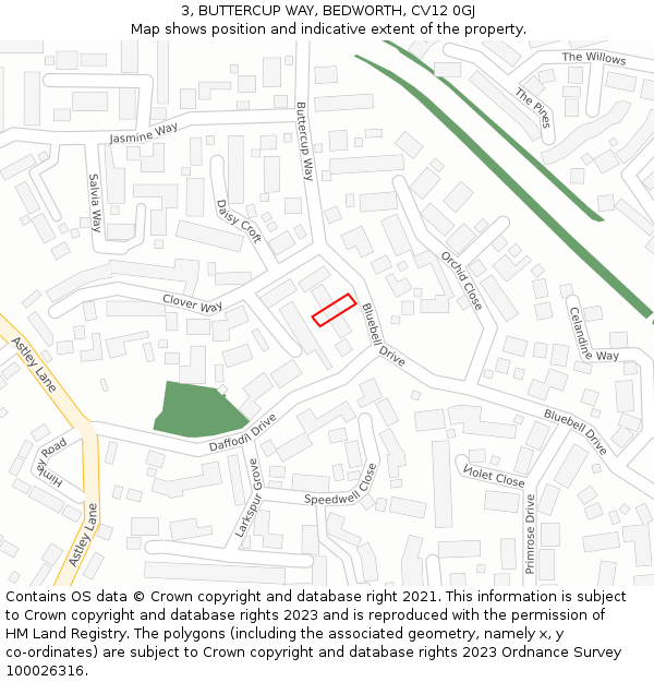 3, BUTTERCUP WAY, BEDWORTH, CV12 0GJ: Location map and indicative extent of plot