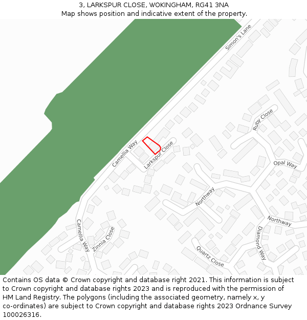 3, LARKSPUR CLOSE, WOKINGHAM, RG41 3NA: Location map and indicative extent of plot