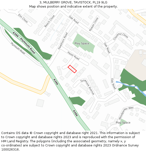 3, MULBERRY GROVE, TAVISTOCK, PL19 9LG: Location map and indicative extent of plot
