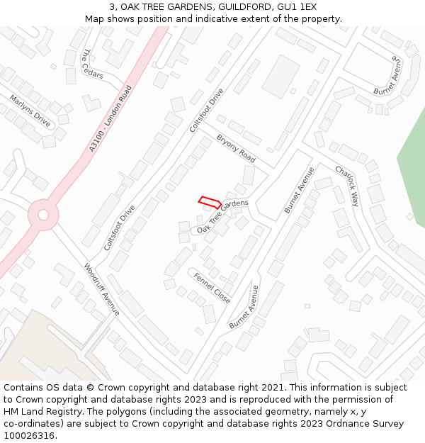 3, OAK TREE GARDENS, GUILDFORD, GU1 1EX: Location map and indicative extent of plot