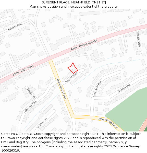 3, REGENT PLACE, HEATHFIELD, TN21 8TJ: Location map and indicative extent of plot