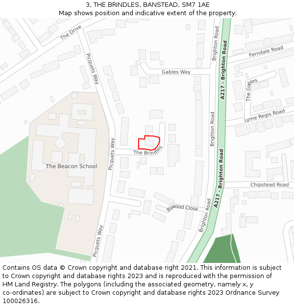 3, THE BRINDLES, BANSTEAD, SM7 1AE: Location map and indicative extent of plot