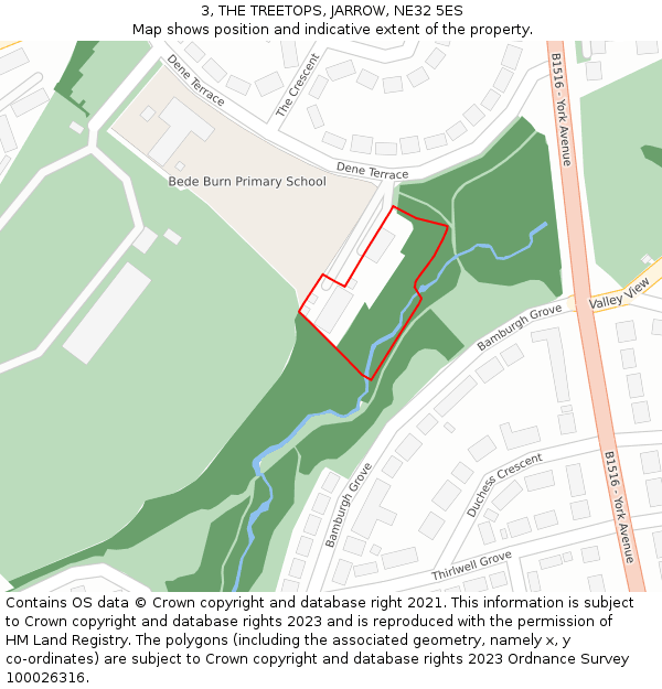 3, THE TREETOPS, JARROW, NE32 5ES: Location map and indicative extent of plot