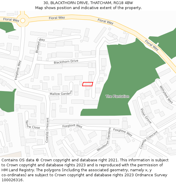 30, BLACKTHORN DRIVE, THATCHAM, RG18 4BW: Location map and indicative extent of plot