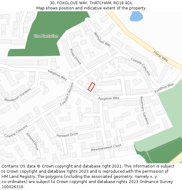 30, FOXGLOVE WAY, THATCHAM, RG18 4DL: Location map and indicative extent of plot