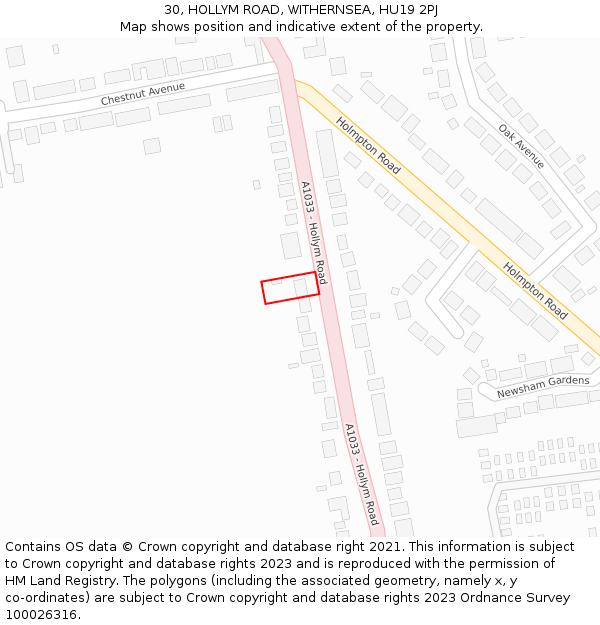 30, HOLLYM ROAD, WITHERNSEA, HU19 2PJ: Location map and indicative extent of plot