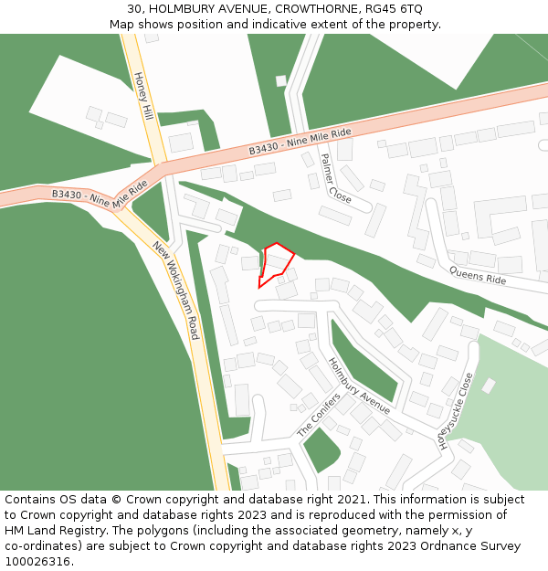 30, HOLMBURY AVENUE, CROWTHORNE, RG45 6TQ: Location map and indicative extent of plot