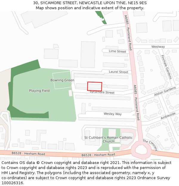 30, SYCAMORE STREET, NEWCASTLE UPON TYNE, NE15 9ES: Location map and indicative extent of plot