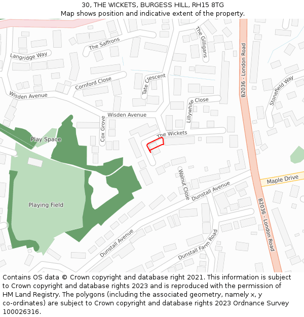 30, THE WICKETS, BURGESS HILL, RH15 8TG: Location map and indicative extent of plot