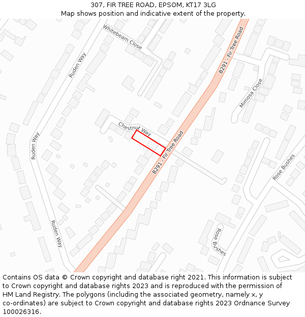 307, FIR TREE ROAD, EPSOM, KT17 3LG: Location map and indicative extent of plot