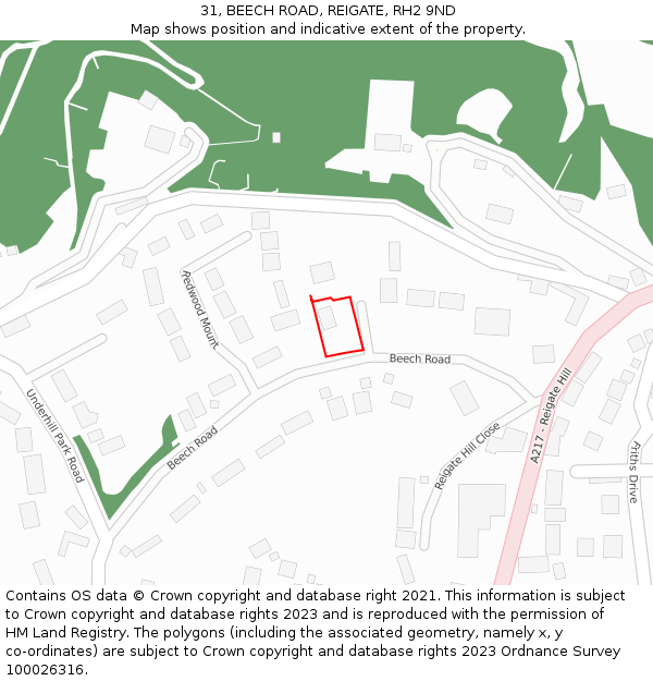 31, BEECH ROAD, REIGATE, RH2 9ND: Location map and indicative extent of plot