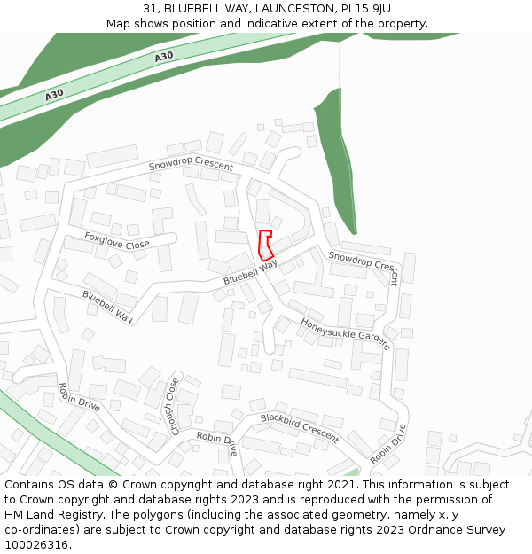 31, BLUEBELL WAY, LAUNCESTON, PL15 9JU: Location map and indicative extent of plot