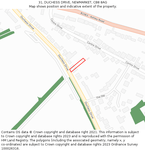 31, DUCHESS DRIVE, NEWMARKET, CB8 8AG: Location map and indicative extent of plot