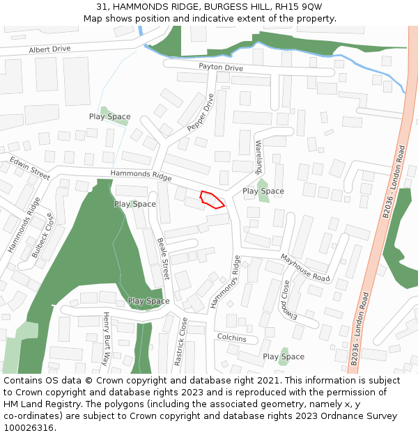 31, HAMMONDS RIDGE, BURGESS HILL, RH15 9QW: Location map and indicative extent of plot