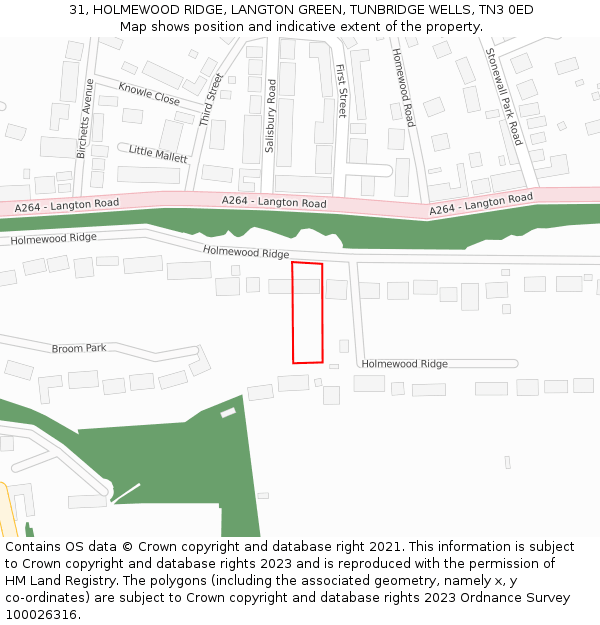 31, HOLMEWOOD RIDGE, LANGTON GREEN, TUNBRIDGE WELLS, TN3 0ED: Location map and indicative extent of plot