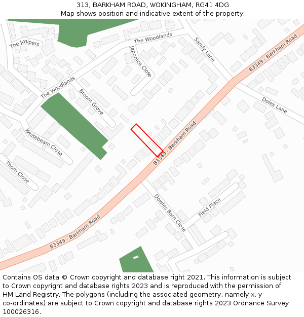 313, BARKHAM ROAD, WOKINGHAM, RG41 4DG: Location map and indicative extent of plot