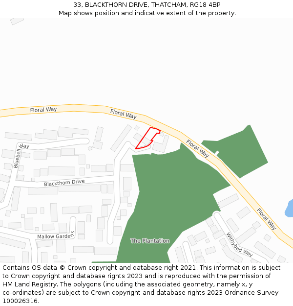 33, BLACKTHORN DRIVE, THATCHAM, RG18 4BP: Location map and indicative extent of plot