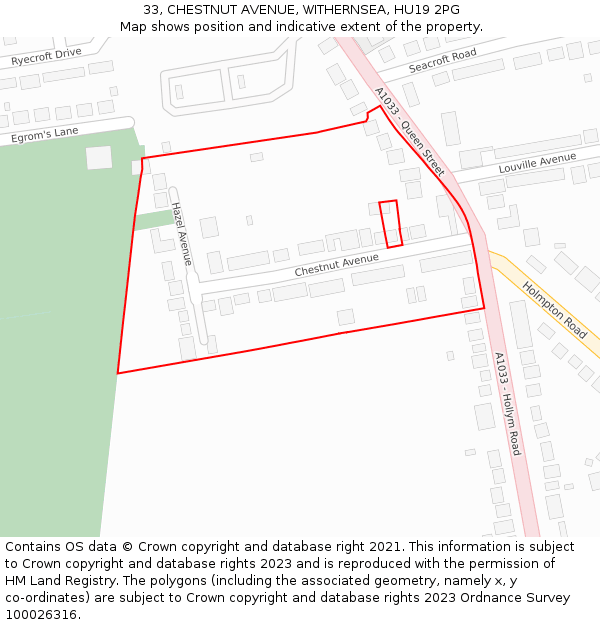 33, CHESTNUT AVENUE, WITHERNSEA, HU19 2PG: Location map and indicative extent of plot