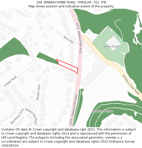 339, BABBACOMBE ROAD, TORQUAY, TQ1 3TB: Location map and indicative extent of plot