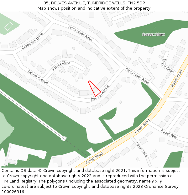 35, DELVES AVENUE, TUNBRIDGE WELLS, TN2 5DP: Location map and indicative extent of plot