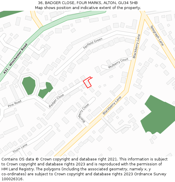 36, BADGER CLOSE, FOUR MARKS, ALTON, GU34 5HB: Location map and indicative extent of plot