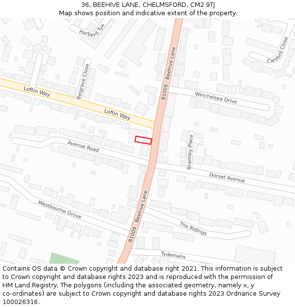 36, BEEHIVE LANE, CHELMSFORD, CM2 9TJ: Location map and indicative extent of plot