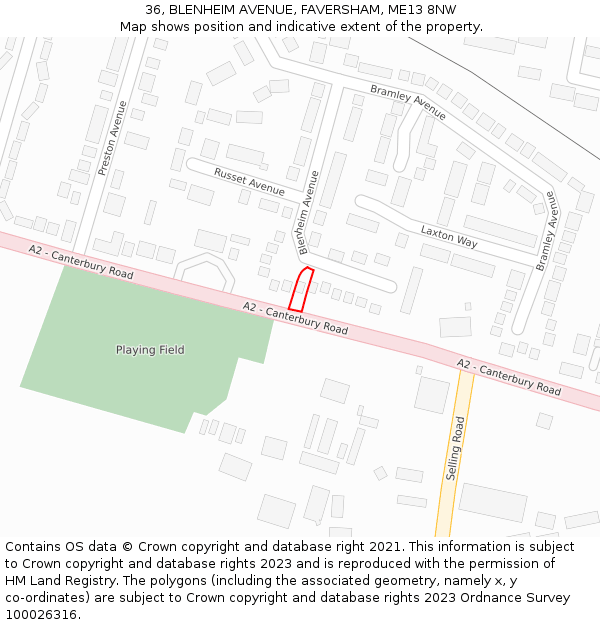 36, BLENHEIM AVENUE, FAVERSHAM, ME13 8NW: Location map and indicative extent of plot