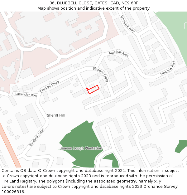 36, BLUEBELL CLOSE, GATESHEAD, NE9 6RF: Location map and indicative extent of plot