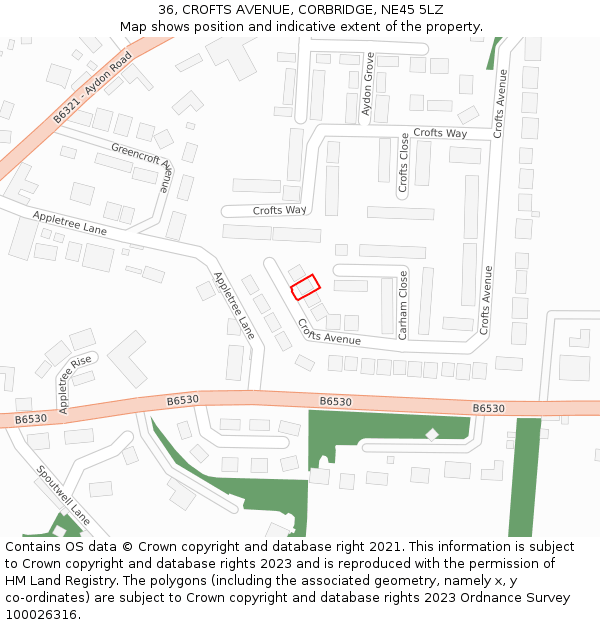 36, CROFTS AVENUE, CORBRIDGE, NE45 5LZ: Location map and indicative extent of plot